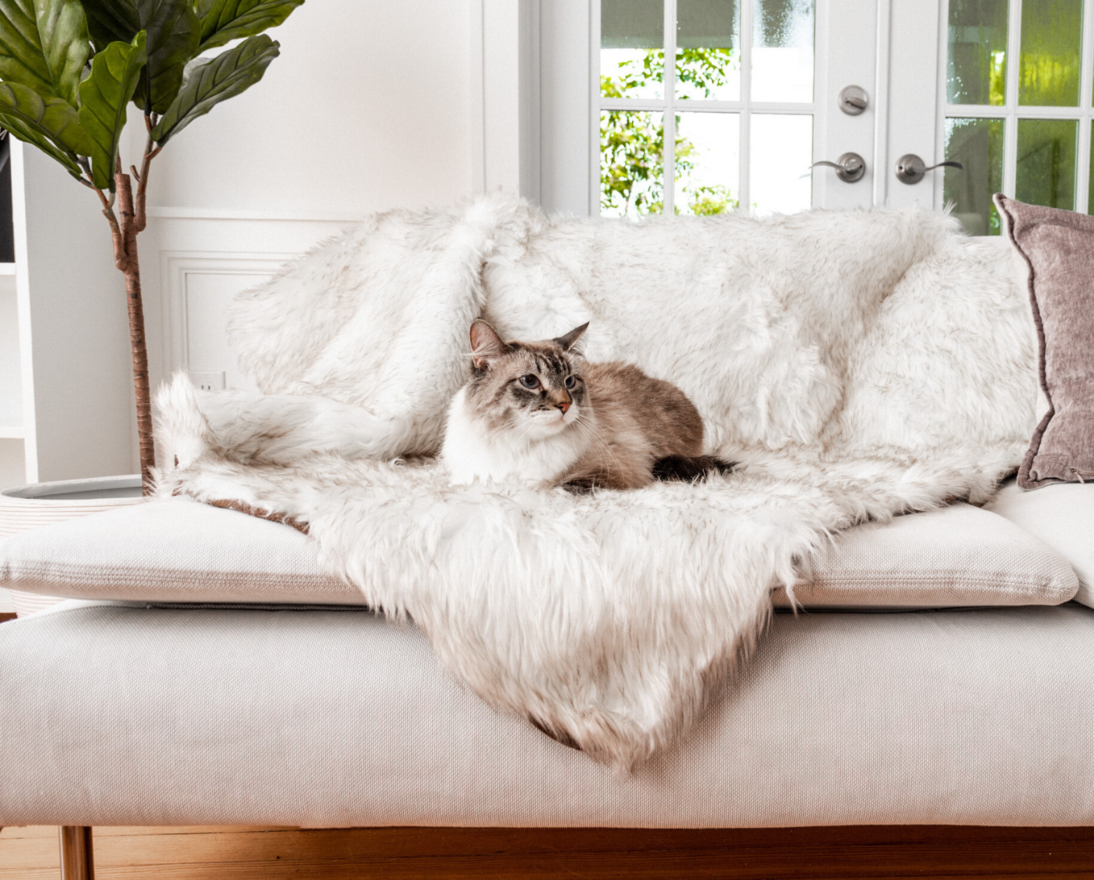 CatNap™ Anti-Scratch & Waterproof Throw Blanket - White with Brown Accents、mySite、solidvoid