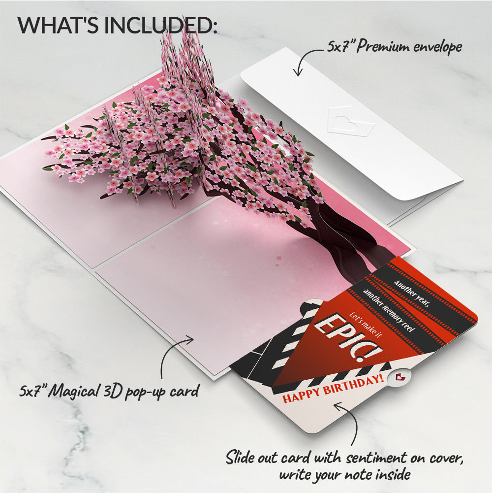 Cherry Blossom Branches in Bloom Birthday Pop-Up Card and Epic Reel Sentiment Set、mySite、solidvoid