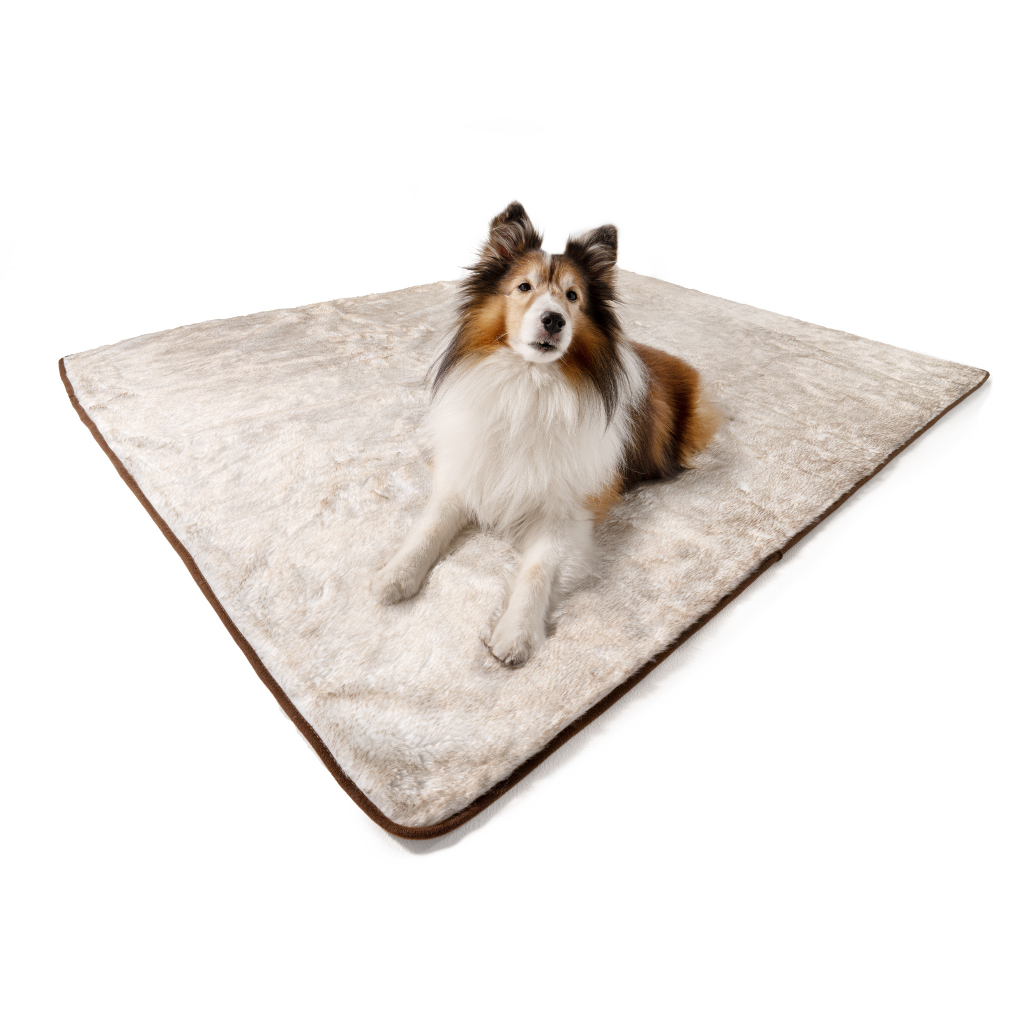Paw.com x BarkBox PupProtector™ Short Fur Waterproof Throw Blanket - White with Brown Accents、mySite、solidvoid