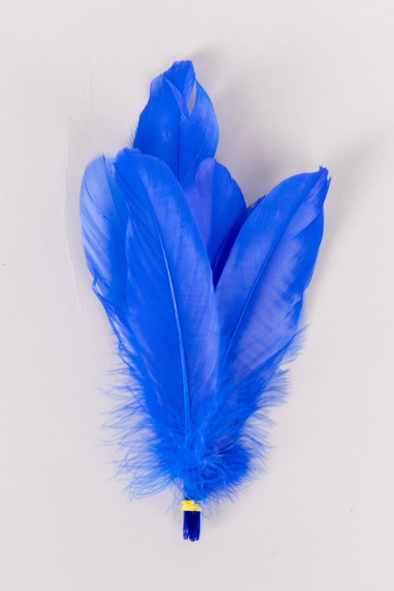 Goose Feathers Bundle of 6 - Yellow Rubber Band - FINAL SALE、mySite、hinf8tx79