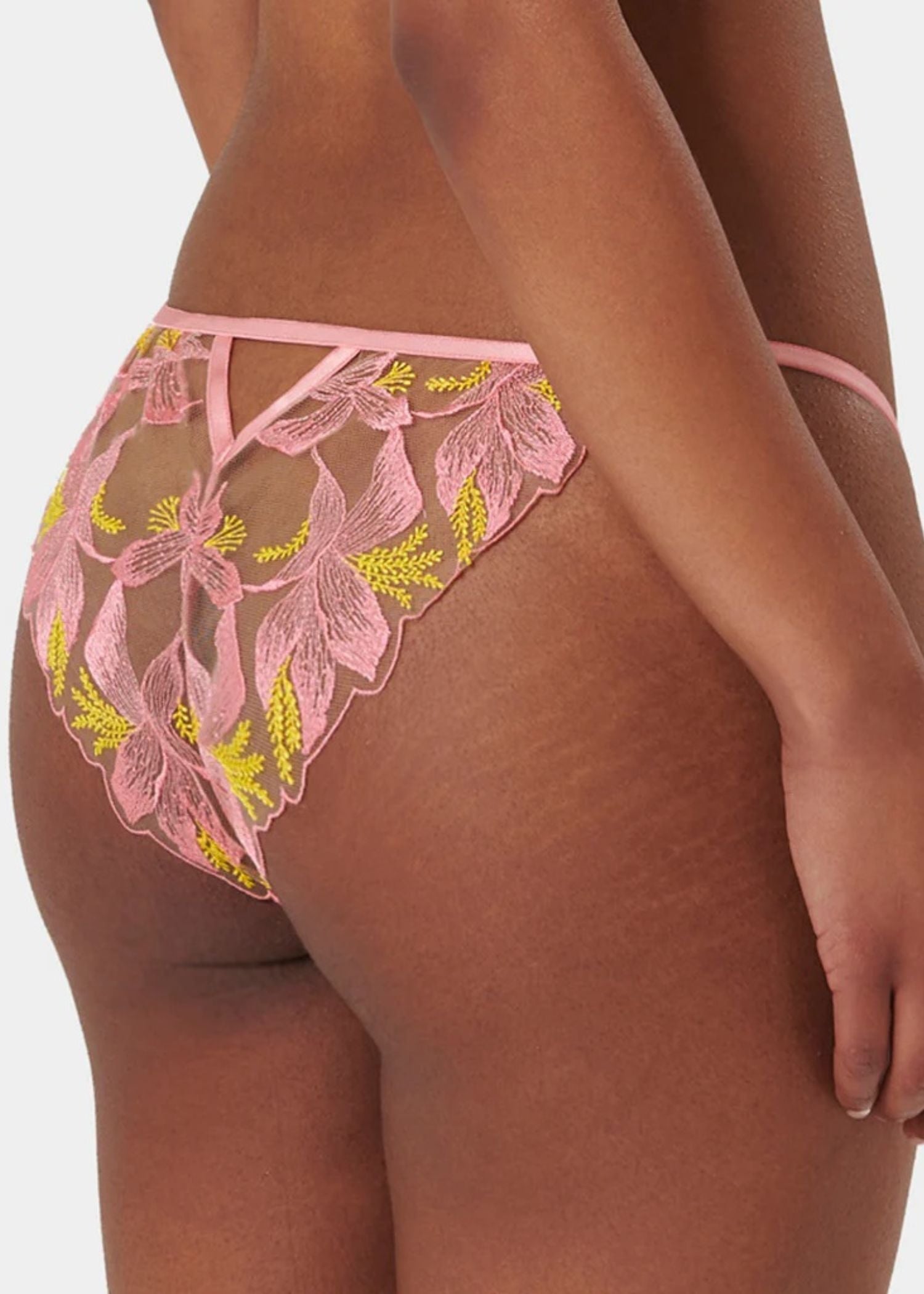  Patrice Panty (Dianthus Pink/Blazing Yellow)、mySite、justintrudeaud