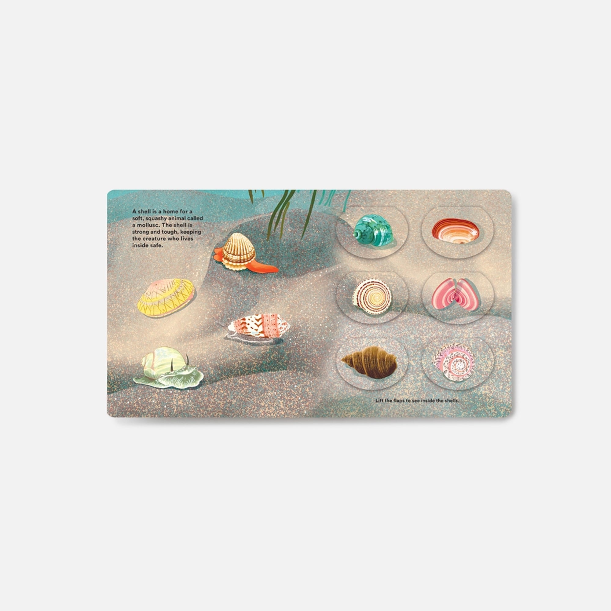 {product_title} - {shop_name}