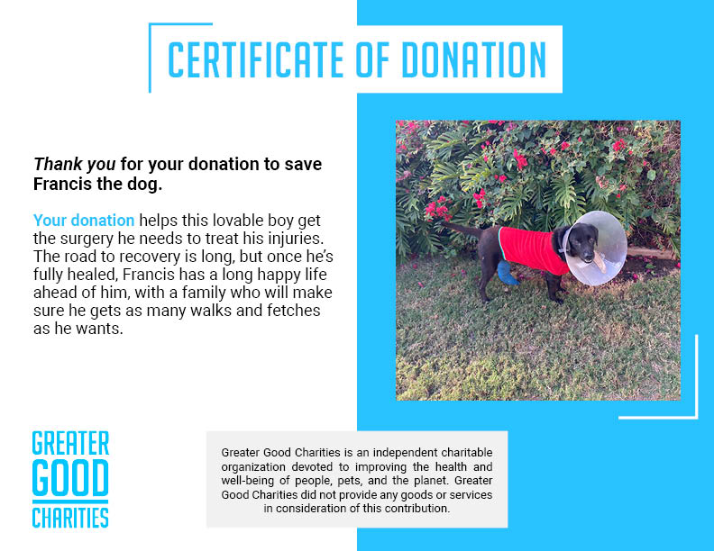 Funded - Help Francis Get Surgery To Walk Pain Free、mySite、camillekostekn