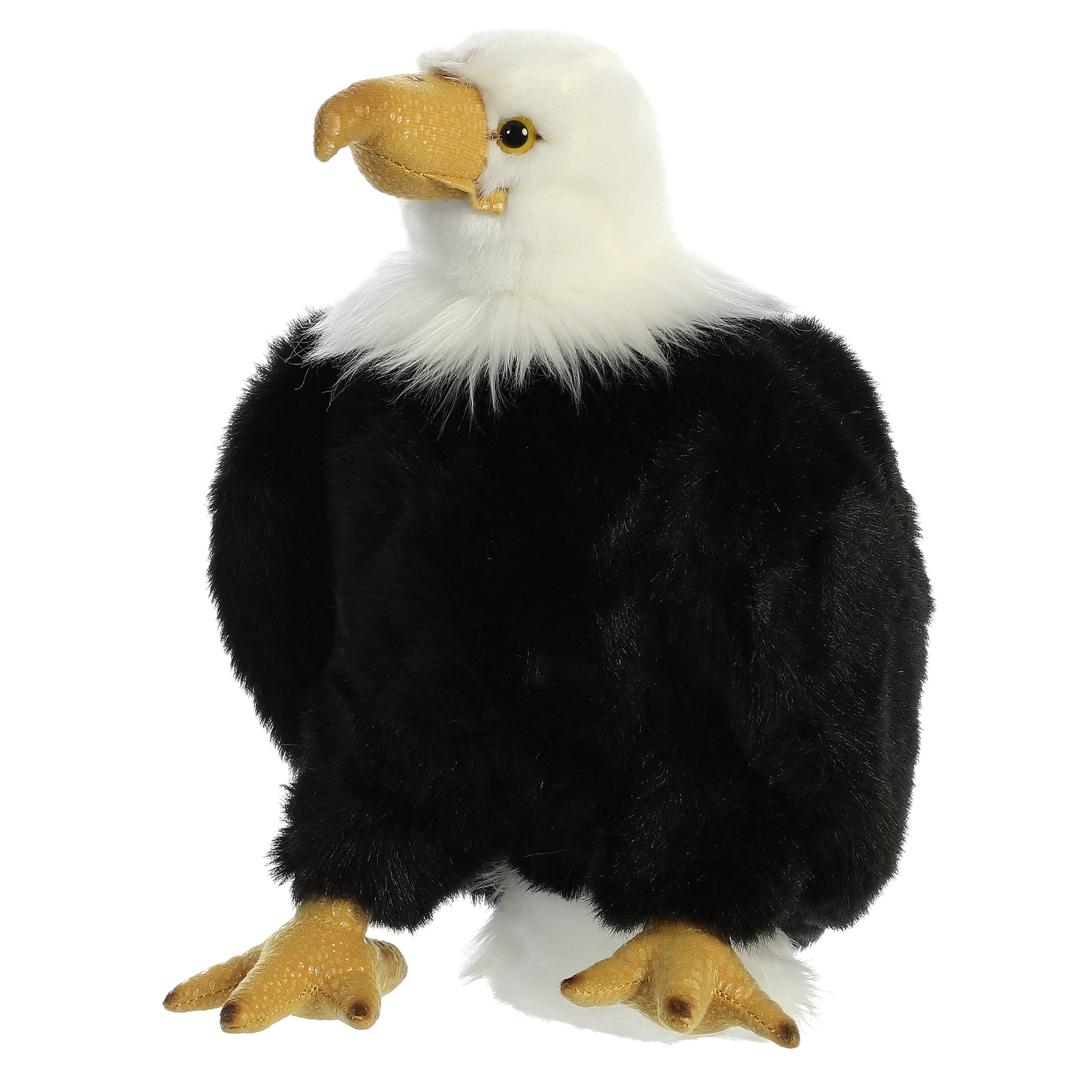 Aurora® - Wild Life - 10.5 Regal Eagle、mySite、g9winljtr