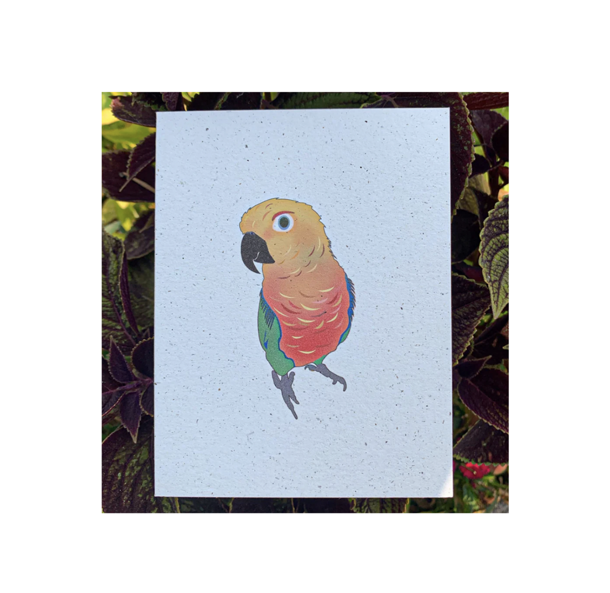 Hakuna matata - Blank - Bird Parrot、mySite、garagedoors4me
