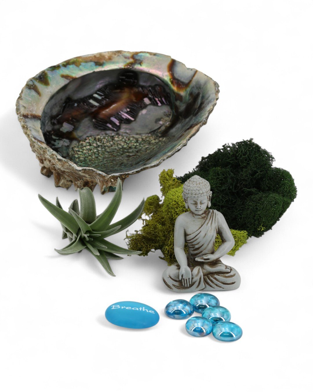 Breathe Abalone Shell Zen Terrarium、mySite、topwebapps