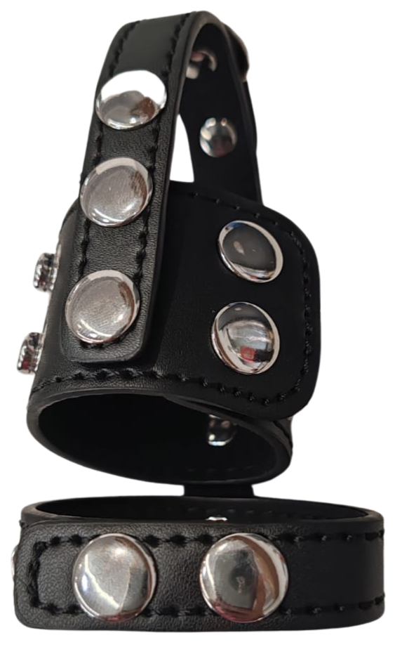 Universal Ball Gear Divider | Cock Ring | Ball Stretch Restraint、mySite、bottomscart