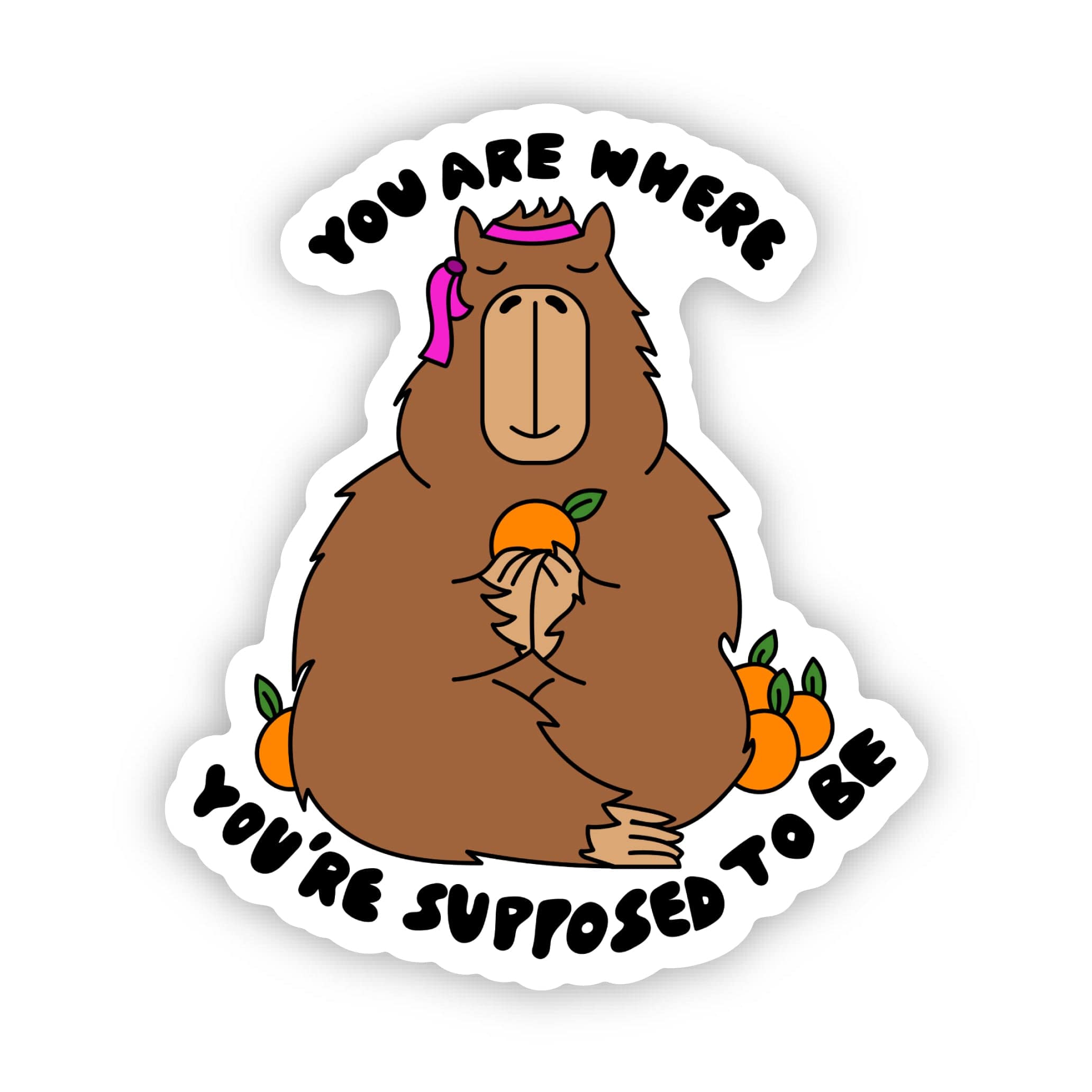  You are where you're supposed to be Capybara Sticker、mySite、elrpsem3k