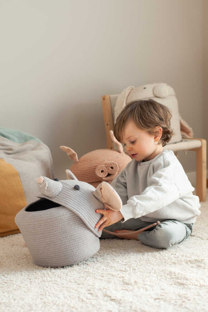 STORAGE BASKET RENATA THE RAT、mySite、gigharbornorthrealestate