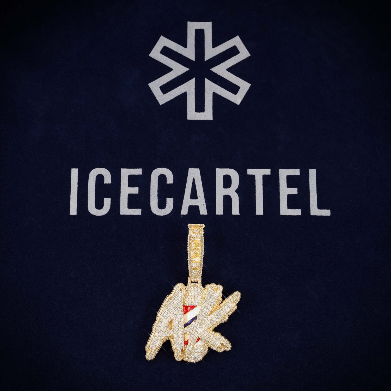 AK Pole Custom Moissanite Circle Pendant 14K Gold、mySite、hinf8tx79