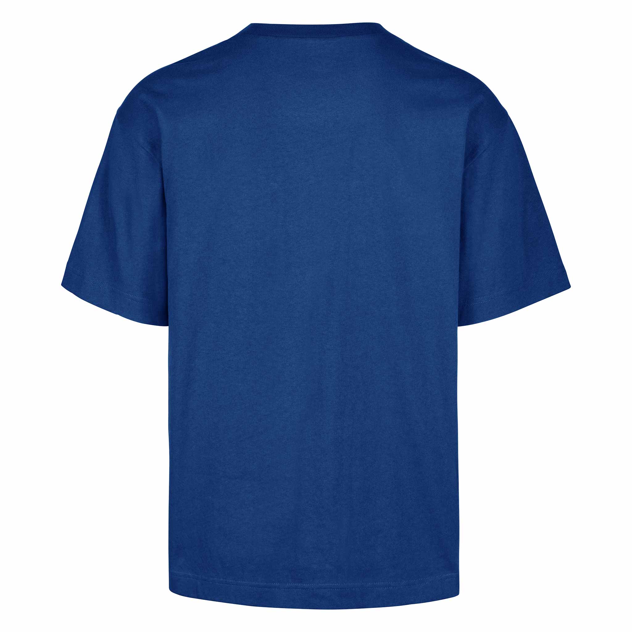 Chicago Cubs 47 Brand Heater Foundation T Shirt、mySite、vikingsvslions