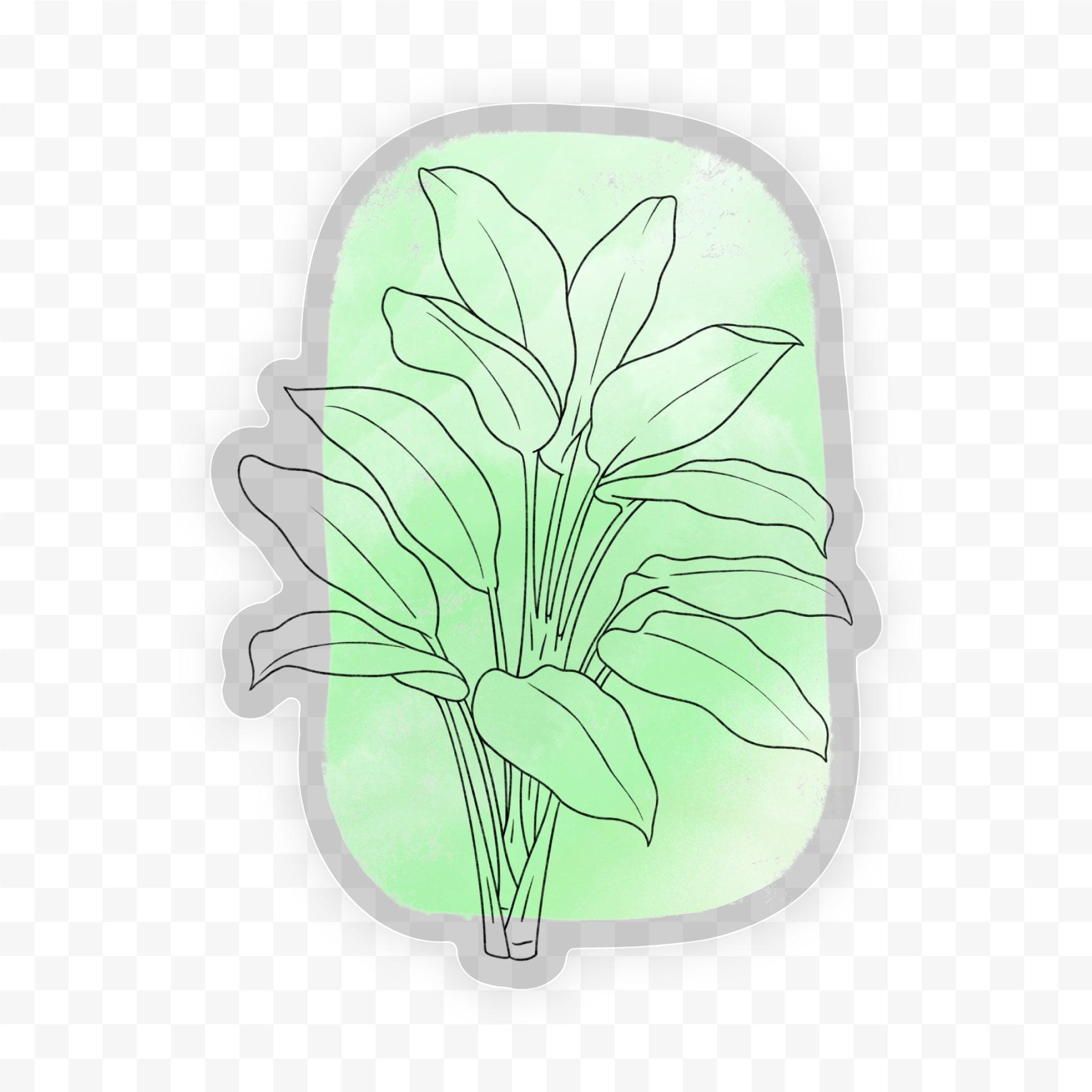  Dumb Cane Abstract - Clear Sticker、mySite、ghnorth
