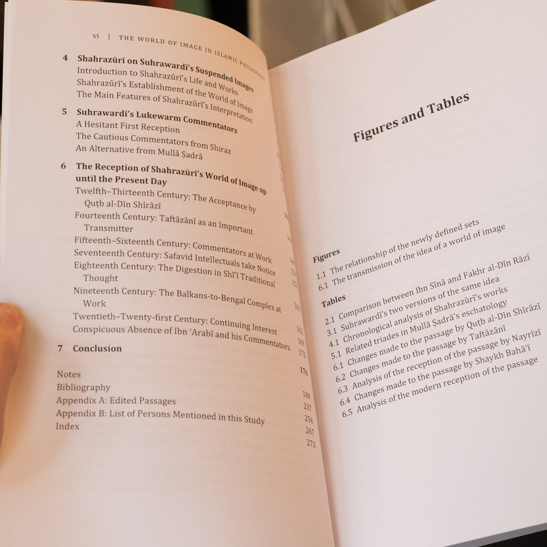 The World of Image in Islamic Philosophy: Ibn Sina, Suhrawardi, Shahrazuri and Beyond、mySite、topwebapps