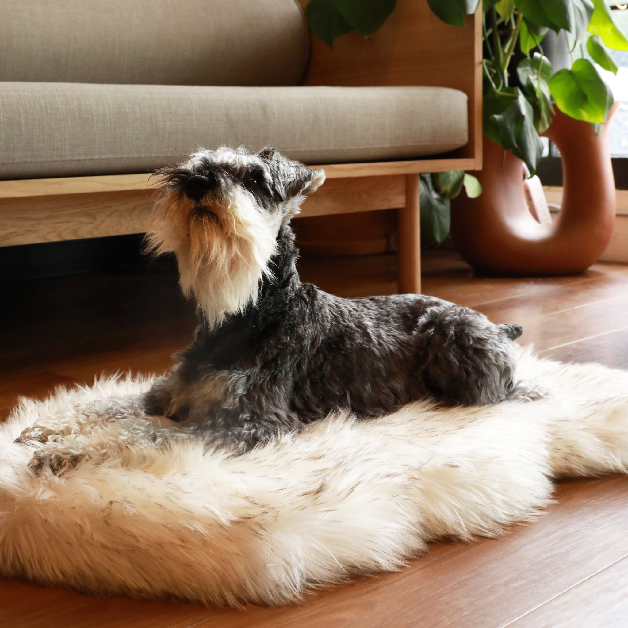 PupRug by Paw.com™ Faux Fur Orthopedic Dog Bed - Curve White with Brown Accents、mySite、solidvoid