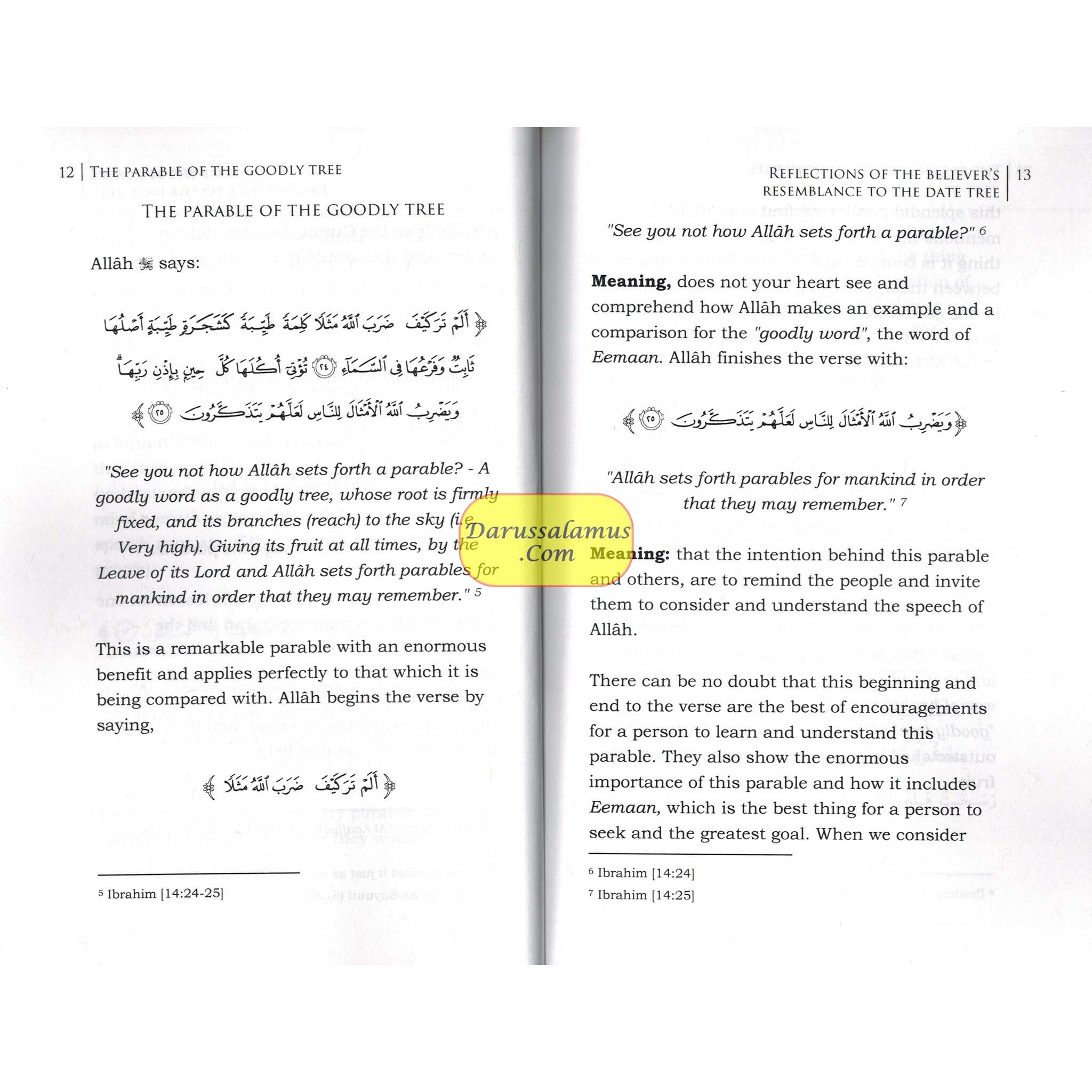 Reflections of the Believer's Resemblance to the Date Tree By Shaykh Abdur-Razzaaq Bin Abdil-Mushin Albadi、mySite、topwebapps