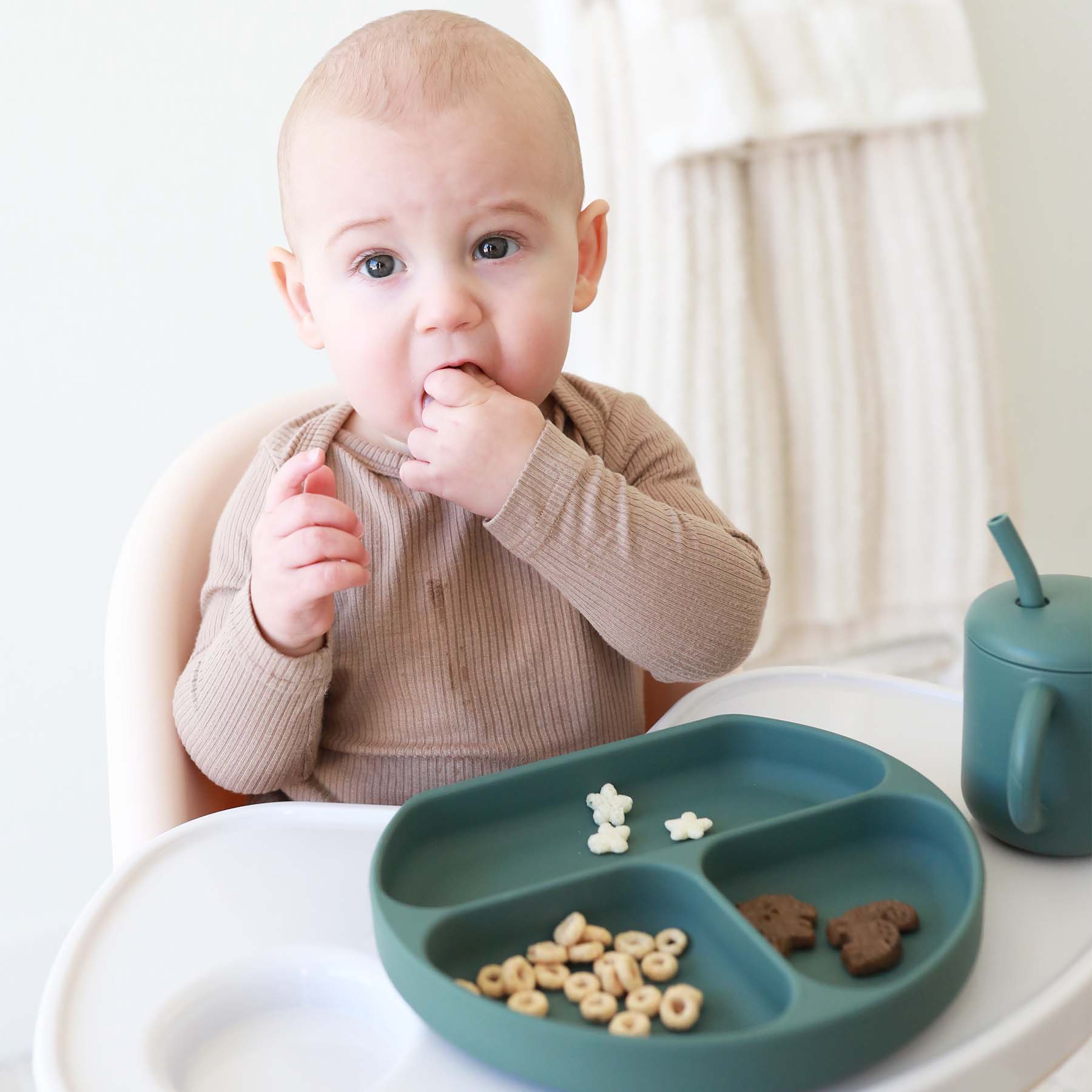  Silicone Suction Plate、mySite、layawaytickets