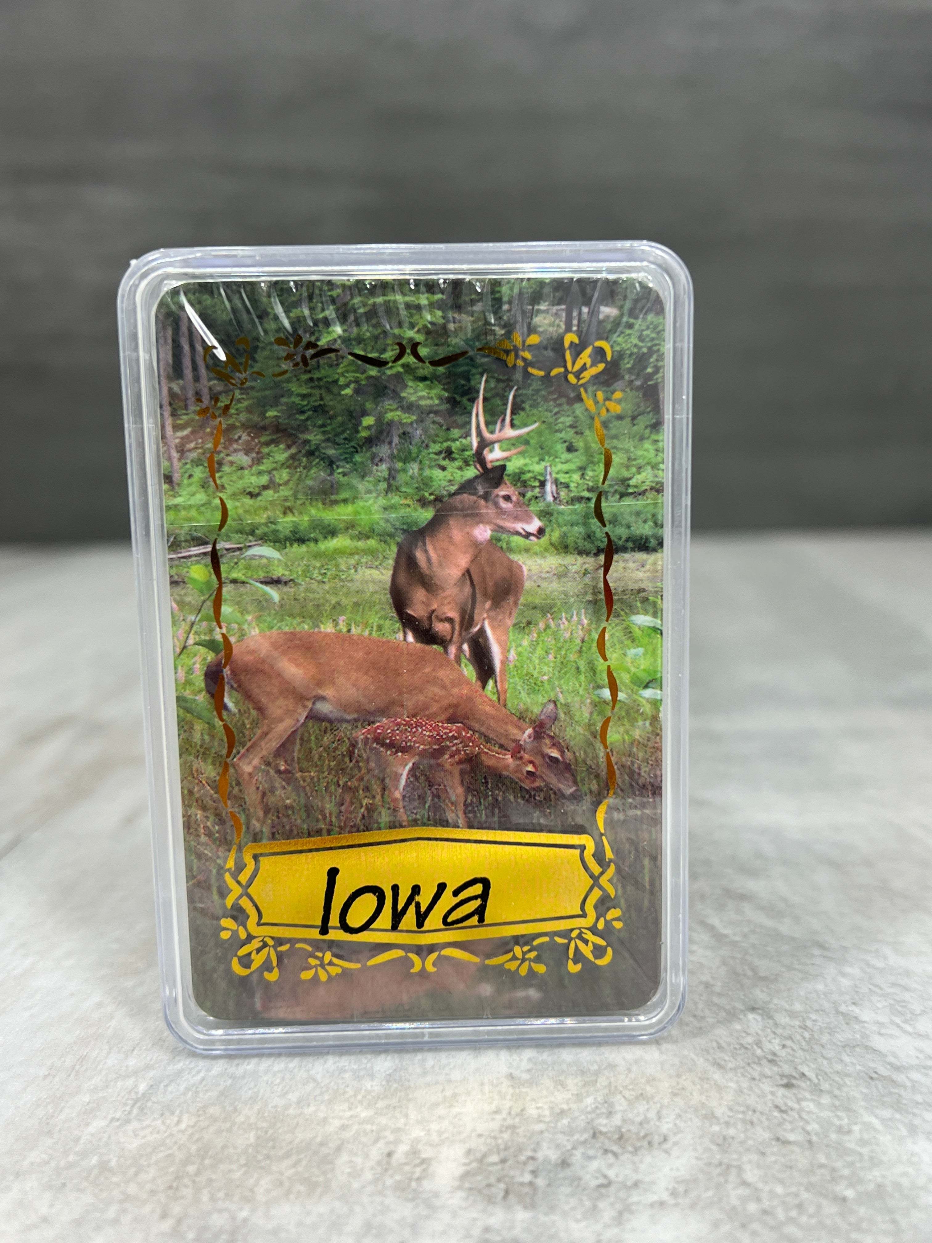 Playing Cards (plastic case)、mySite、garagedoors4me