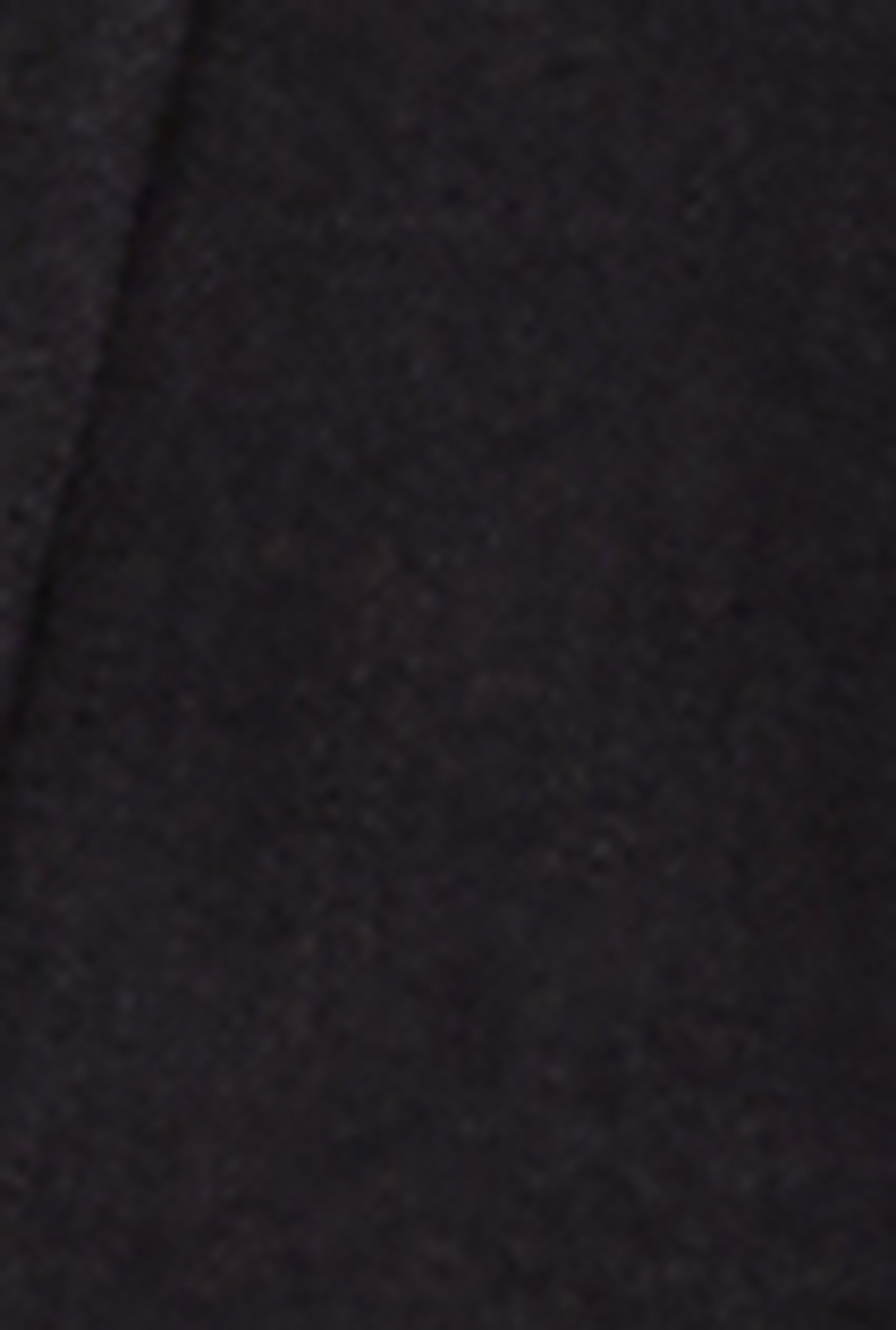 Almost Famous Buckle Detail Denim Pleated Skirt、mySite、camillekostekn