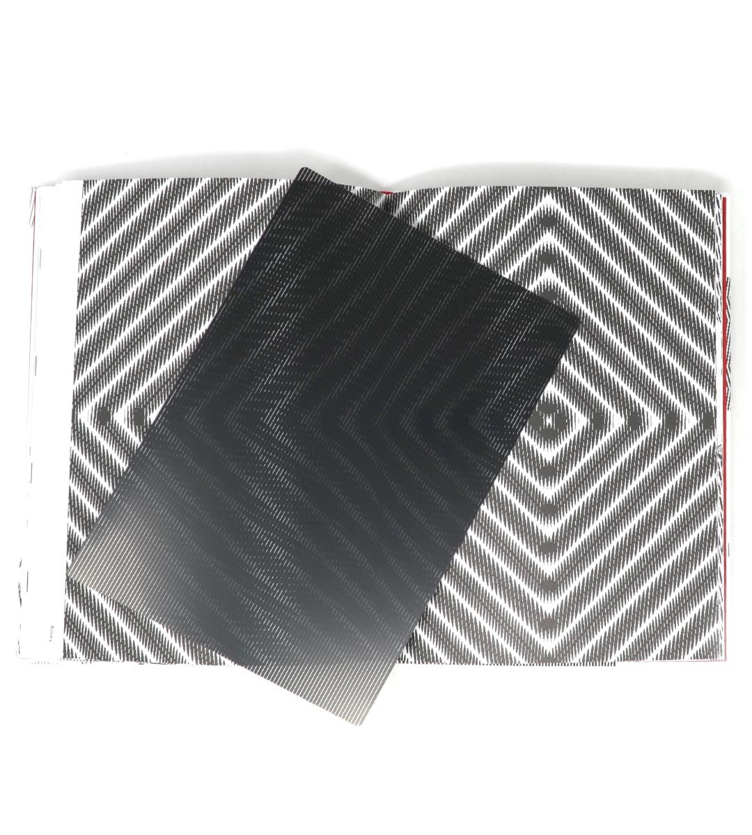  Moirémotion - Takahiro Kurashima、mySite、greenlandpopulation