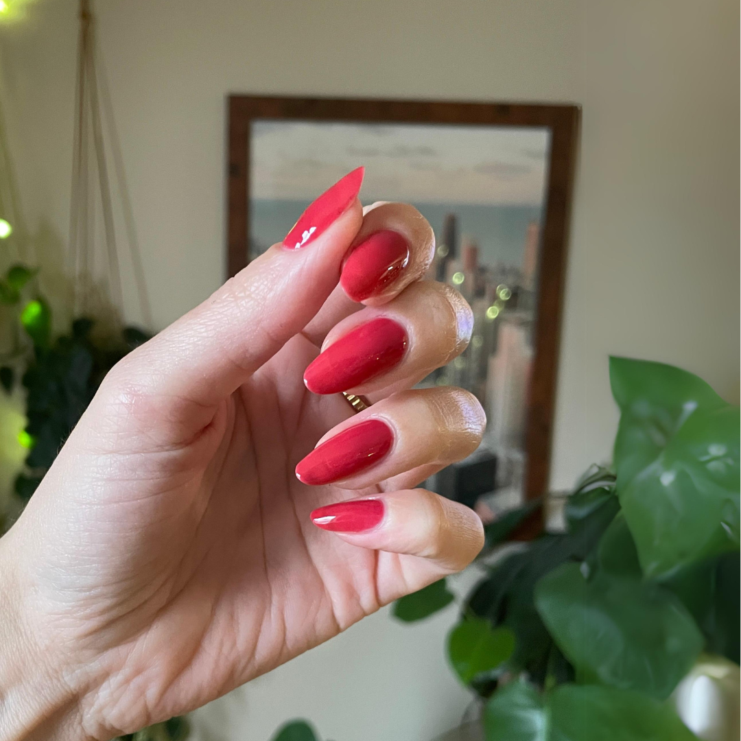 UR A CUTIE、mySite、solidvoid