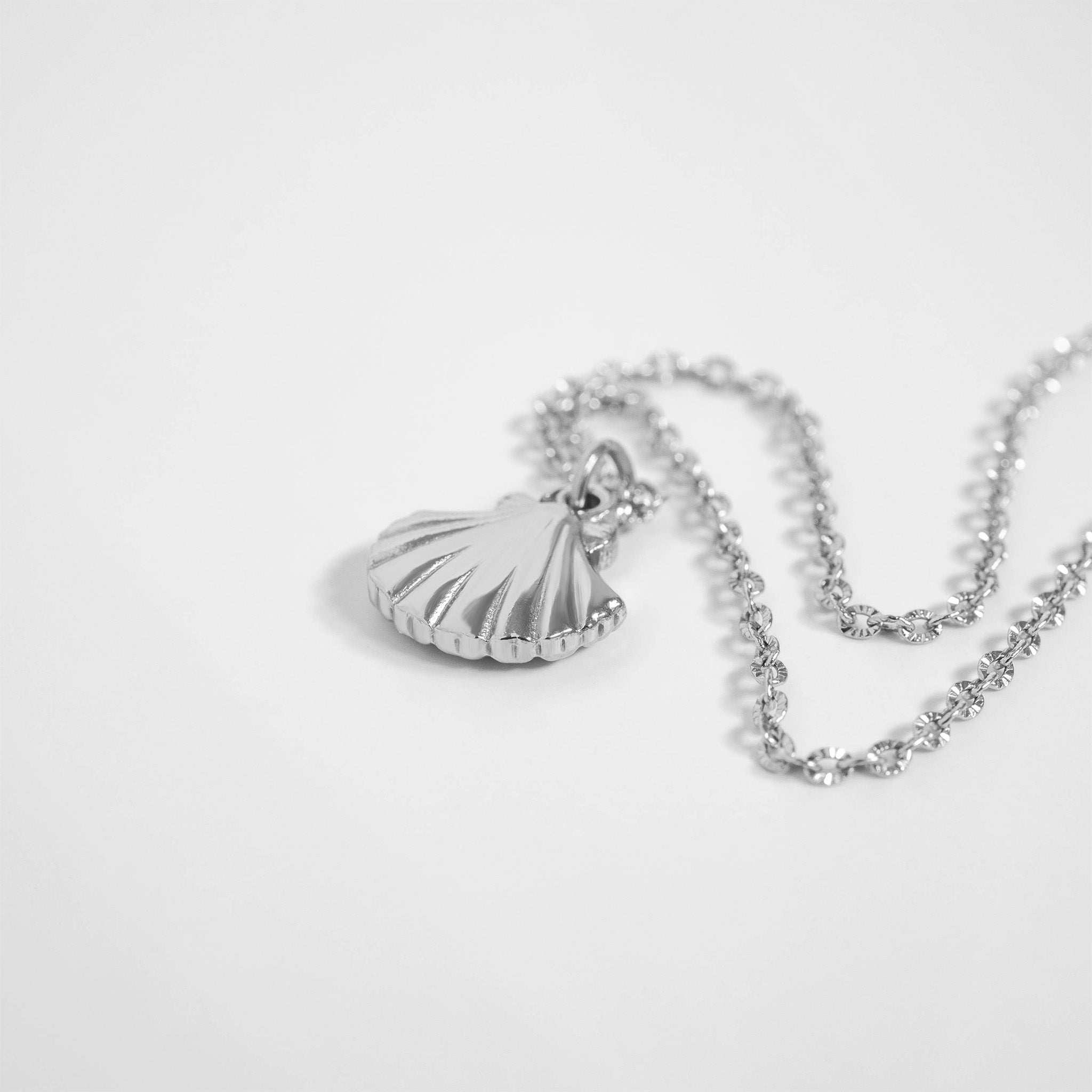 18K Gold PVD Stainless Steel Clam Shell Charm / PDL0097、mySite、dreamappss