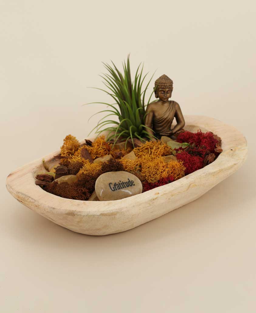 Gratitude Earthy Buddha Zen Terrarium、mySite、topwebapps