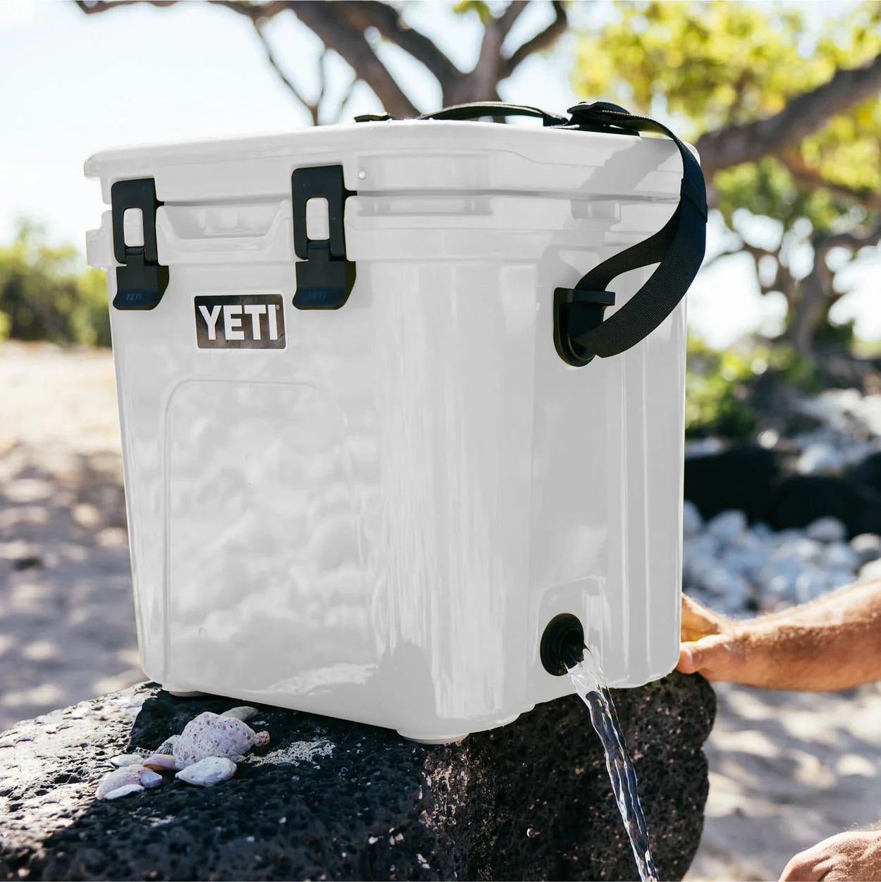 YETI Roadie 24 Cooler - 2.0、mySite、noshort