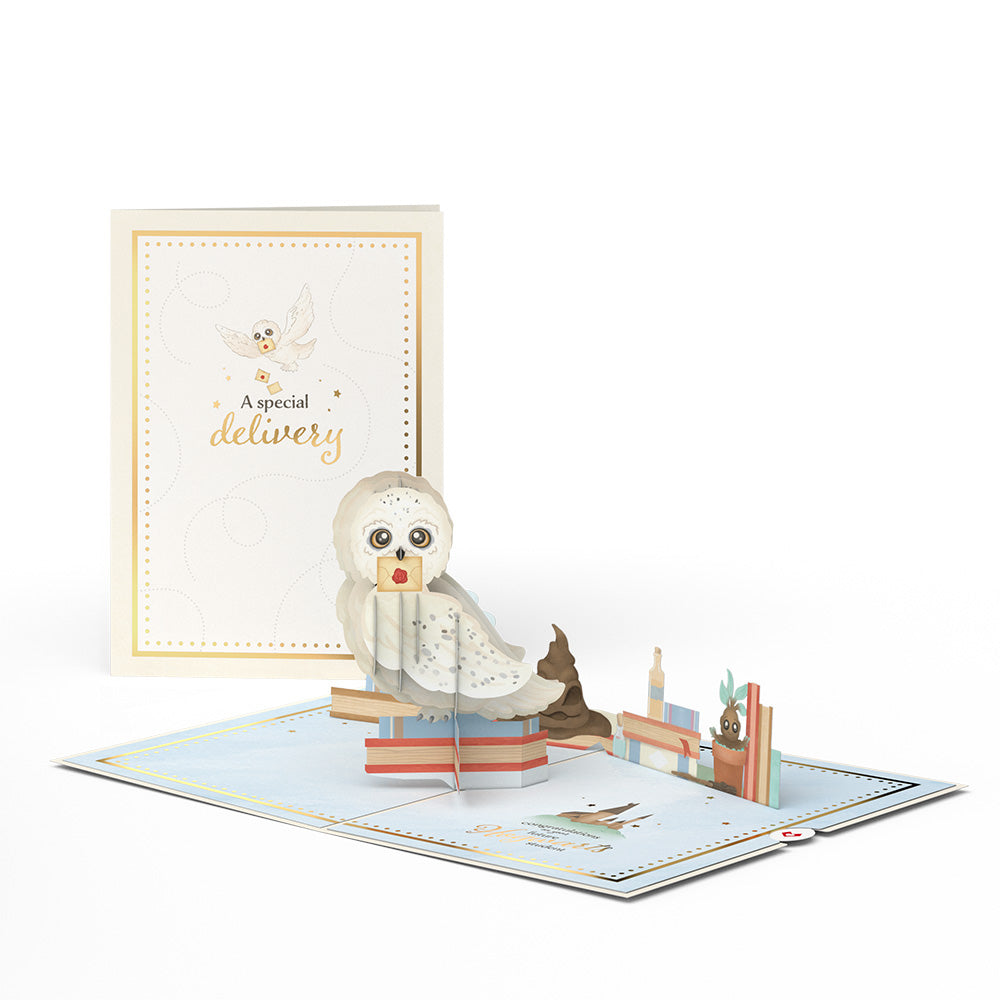 Harry Potter™ Special Delivery Baby Pop-Up Card、mySite、solidvoid