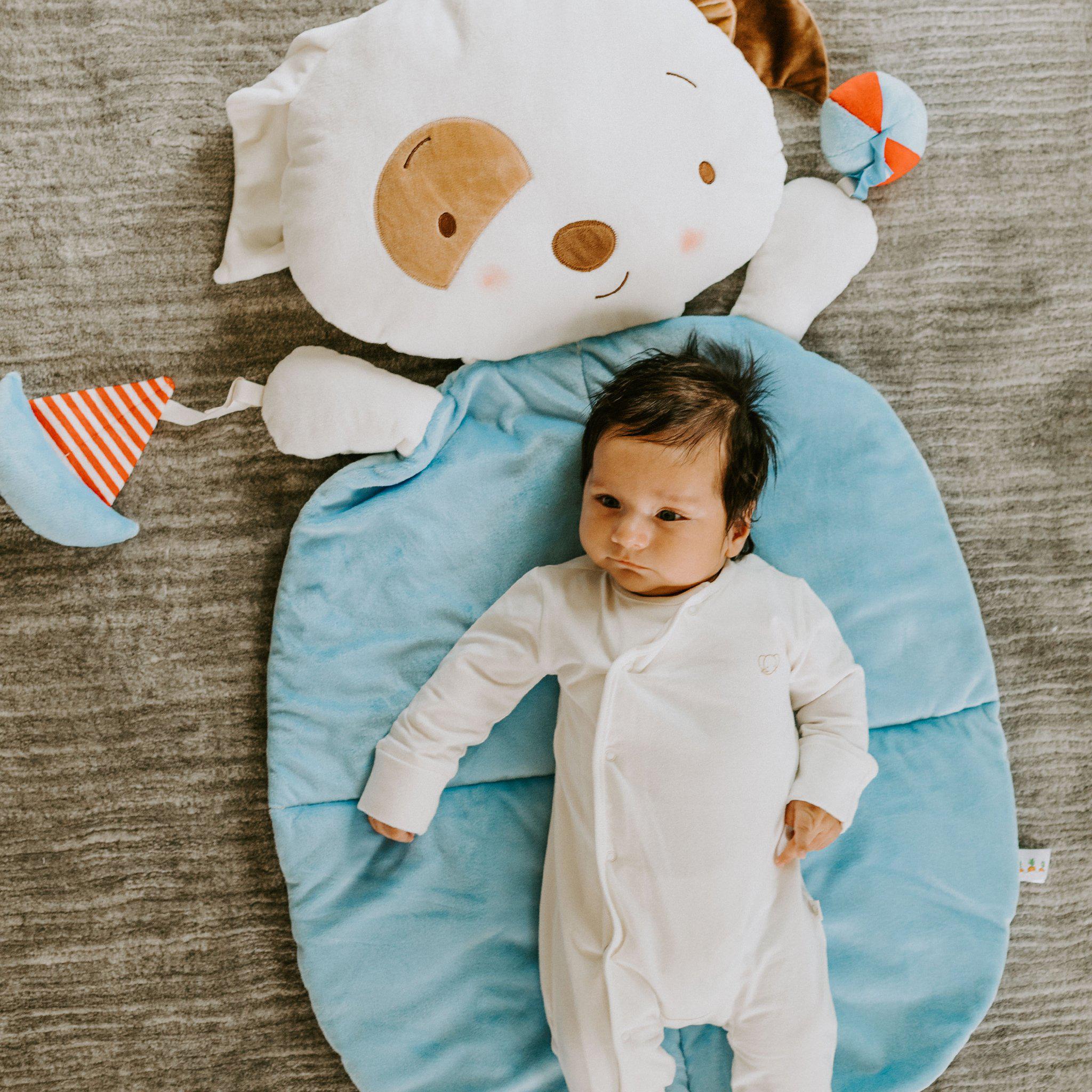 RETIRED - Skipit Puppy Play Mat、mySite、g9winljtr