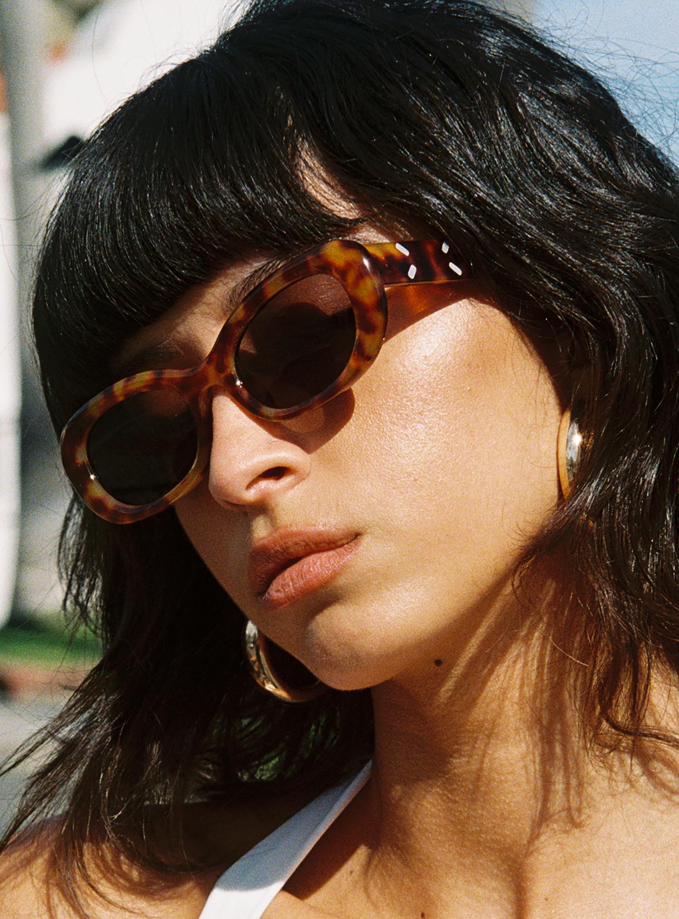 Stetson Sunglasses Tort、mySite、solidvoid