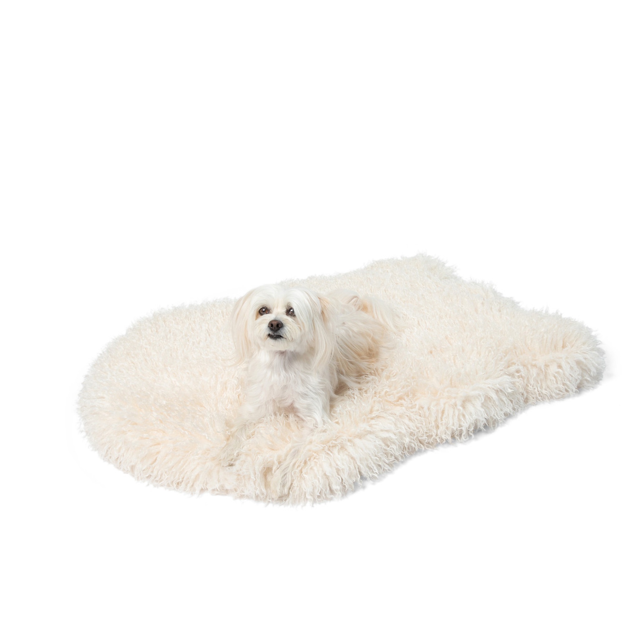 PupRug™ Luxe Faux Fur Orthopedic Dog Bed - Plush Sheep Ivory、mySite、solidvoid