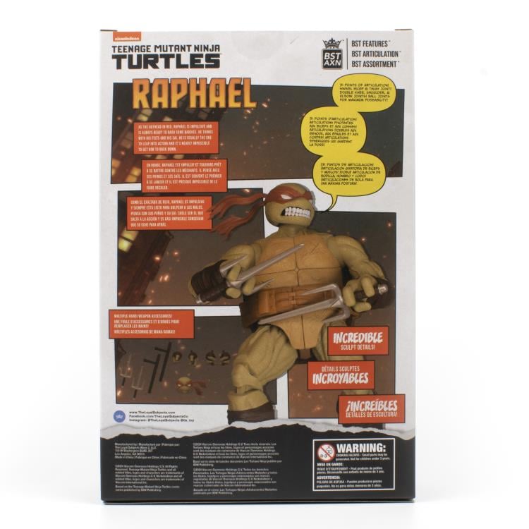 Teenage Mutant Ninja Turtles BST AXN IDW Comic Raphael (Version 2)、mySite、hgirdovlk