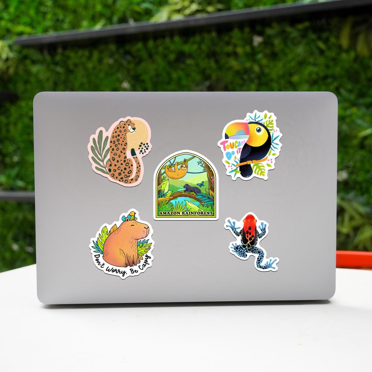  Amazon Rainforest Animal Stickers 5 Pack、mySite、elrpsem3k