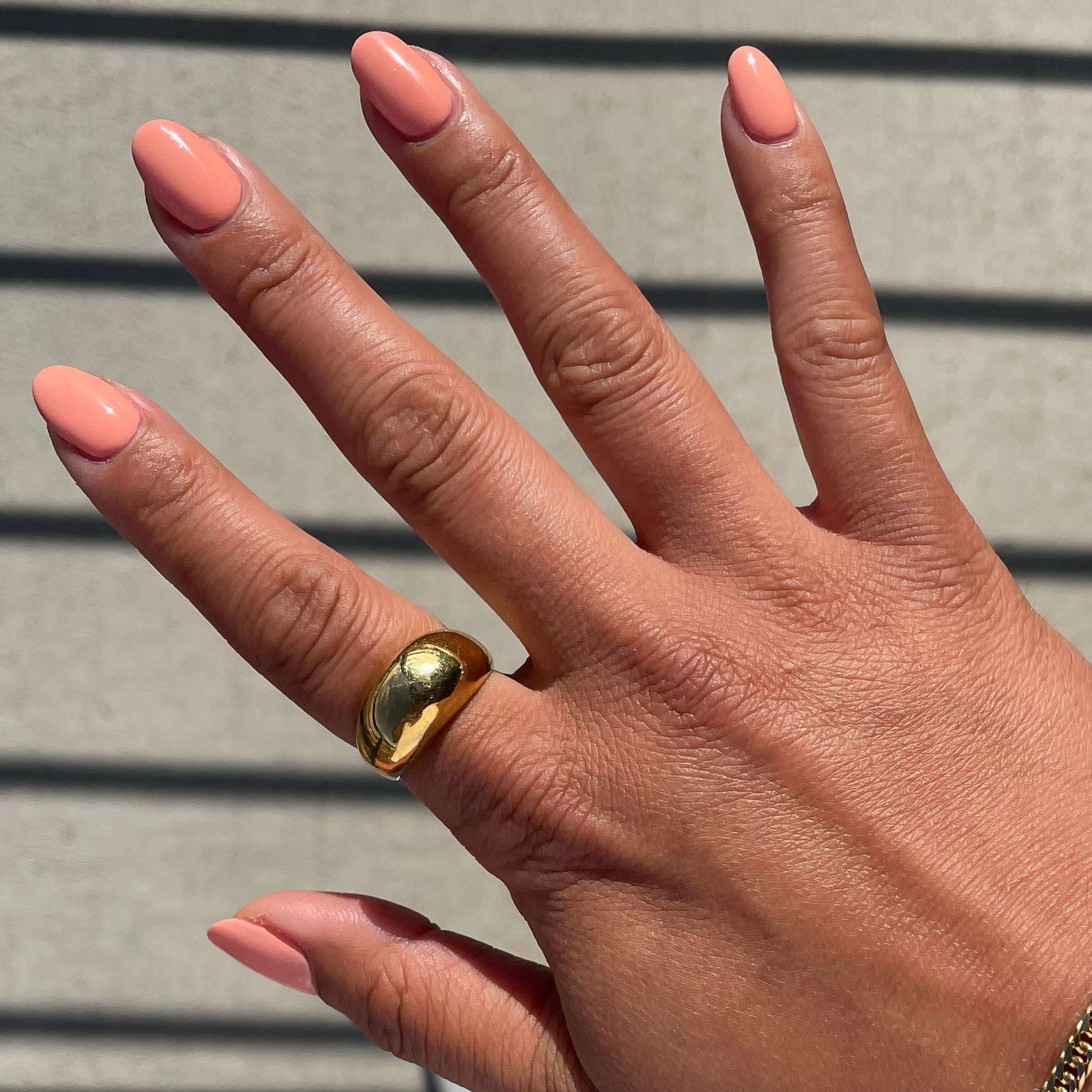 Wild & Free、mySite、solidvoid