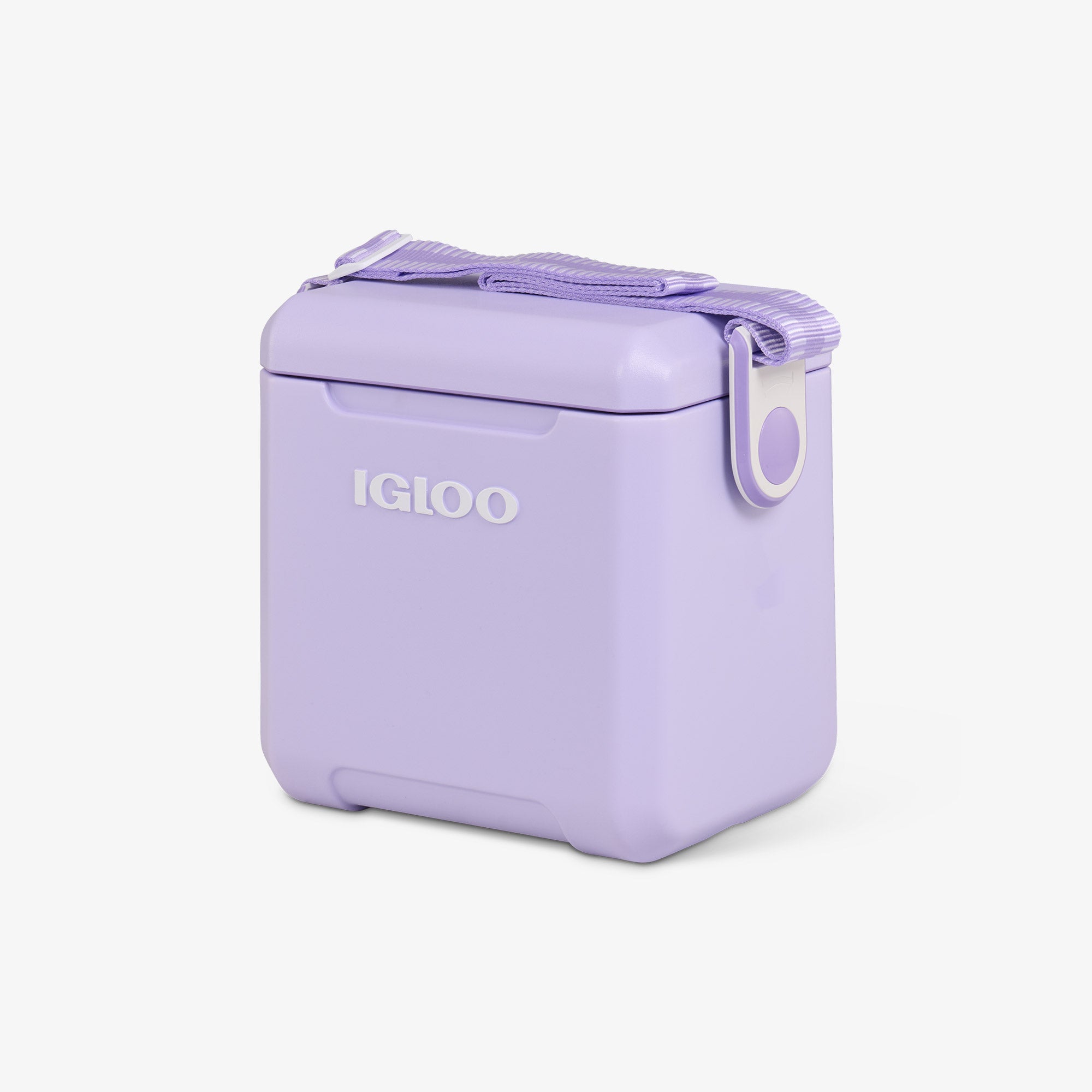 Tag Along Too Cooler、mySite、noshort