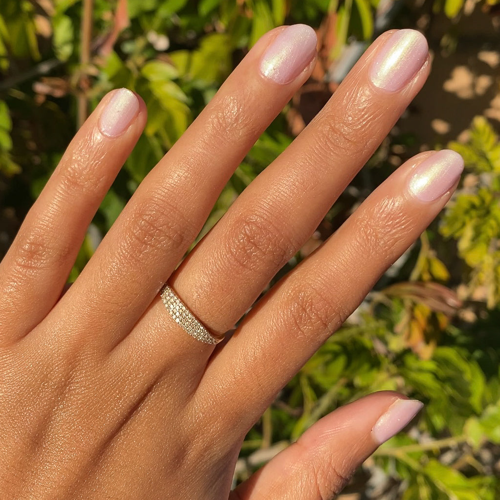 Purple Puka、mySite、solidvoid