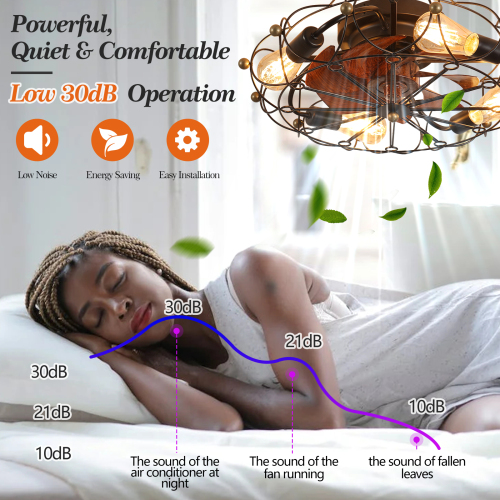 Low Profile Caged Ceiling Fan with Lights Remote Control, Embedded modern industrial ceiling fan、、eastwooduniform