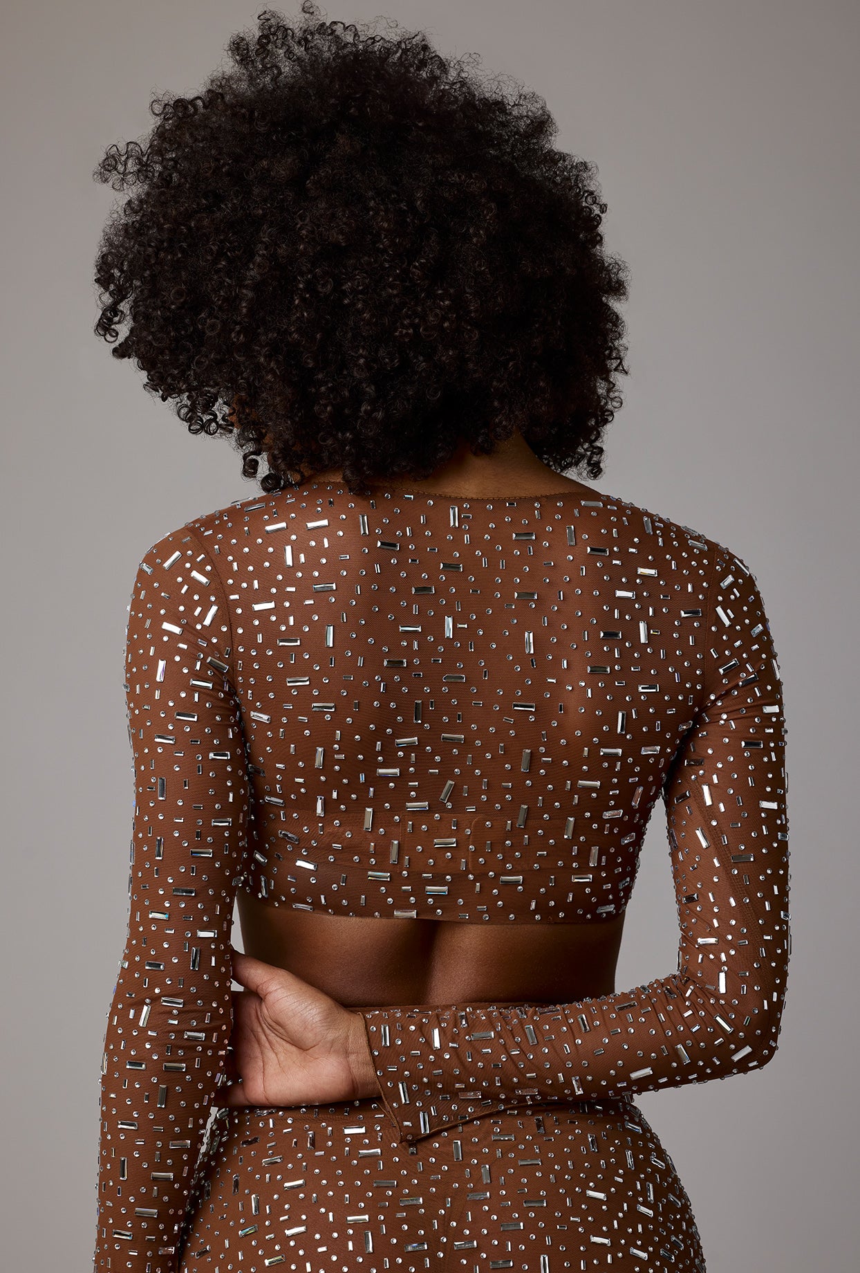 Sheer Embellished Long Sleeve Crop Top in Mocha、mySite、solidvoid