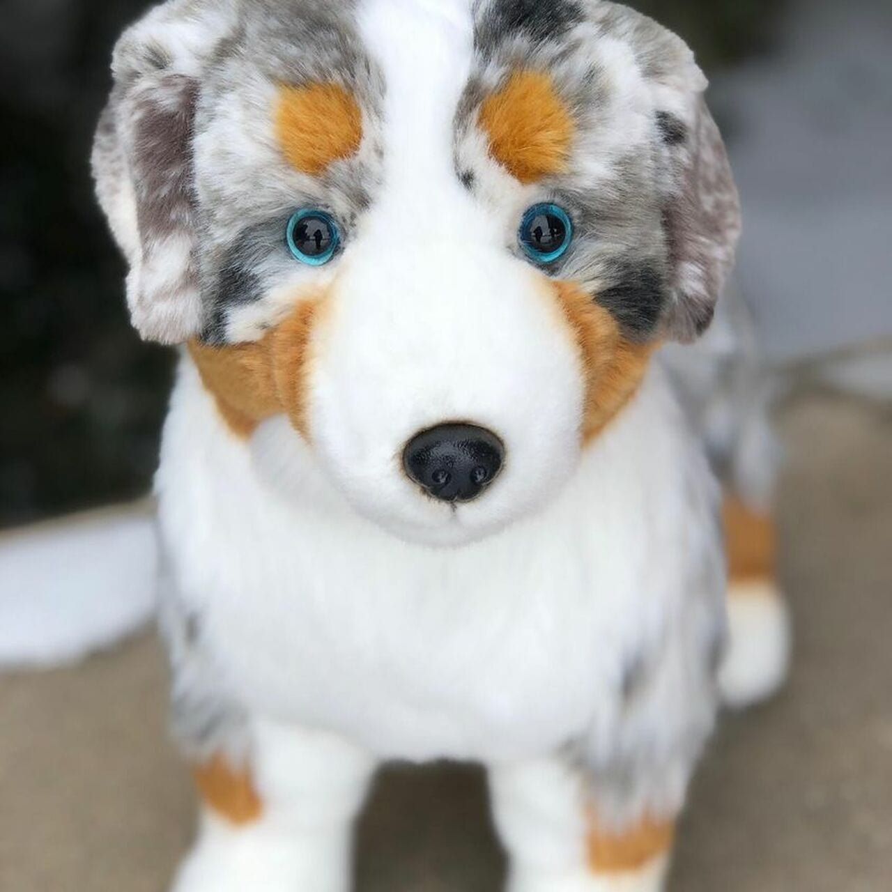 PLUSH Large Blue Merle Australian Shepherd、mySite、g9winljtr