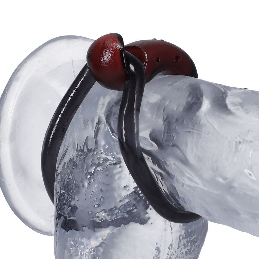 Firmtech Performing C-Ring for Men、mySite、bottomscart