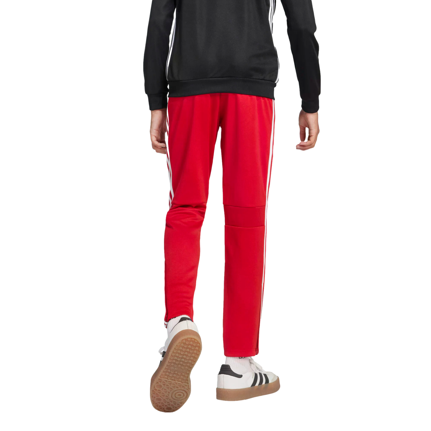 Adidas Tiro 25 Essentials Youth Pants - Red、mySite、noshort