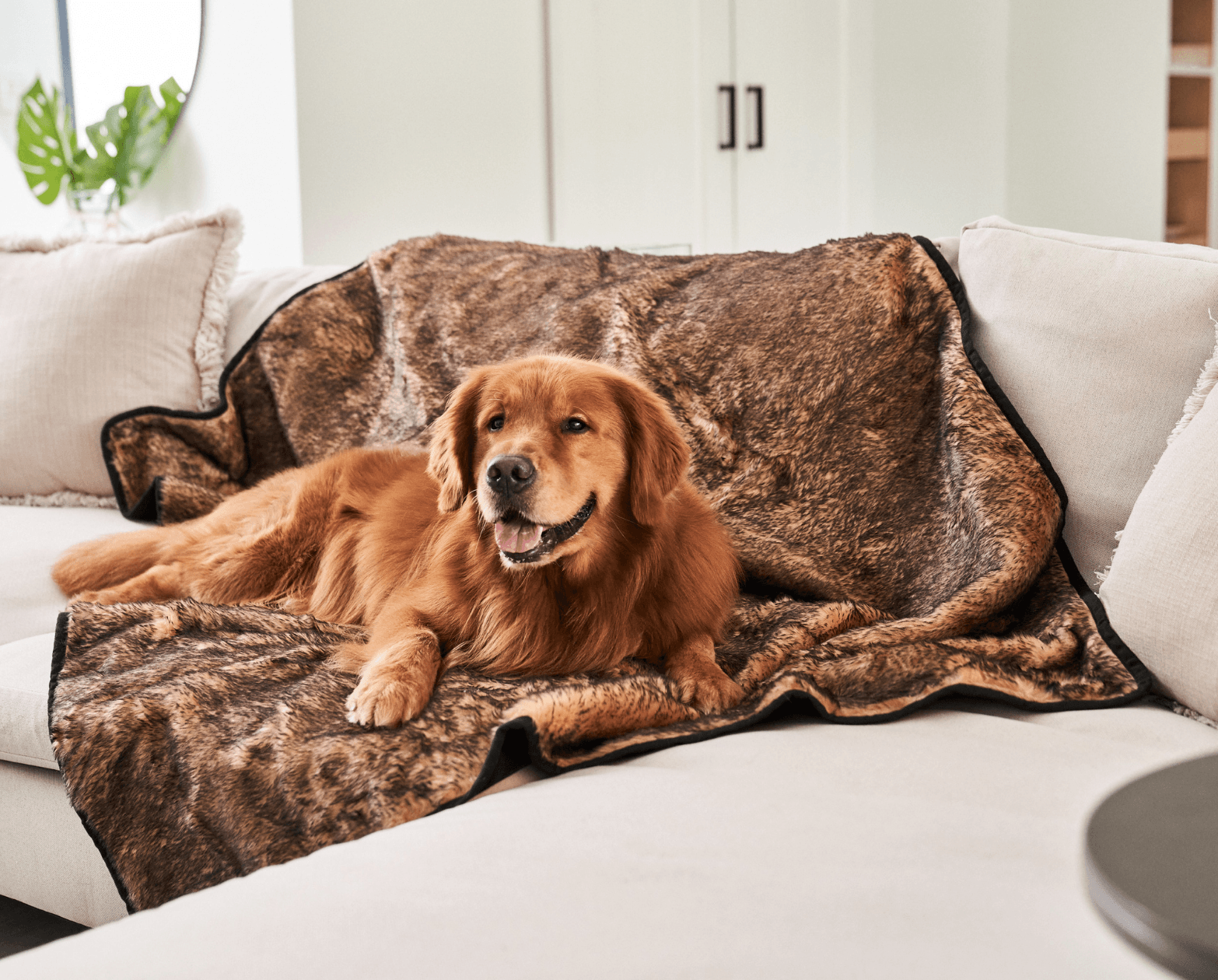 Paw.com x BarkBox PupProtector™ Short Fur Waterproof Throw Blanket - Sable Tan、mySite、solidvoid