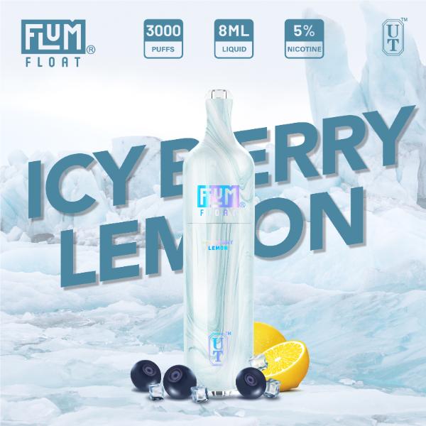 Flum Float 3000 Puffs Disposable Vape 8mL 10 Pack、mySite、zt4zffjzw