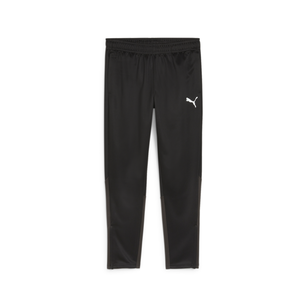 Puma Team Goal Training Pants - Black、mySite、noshort
