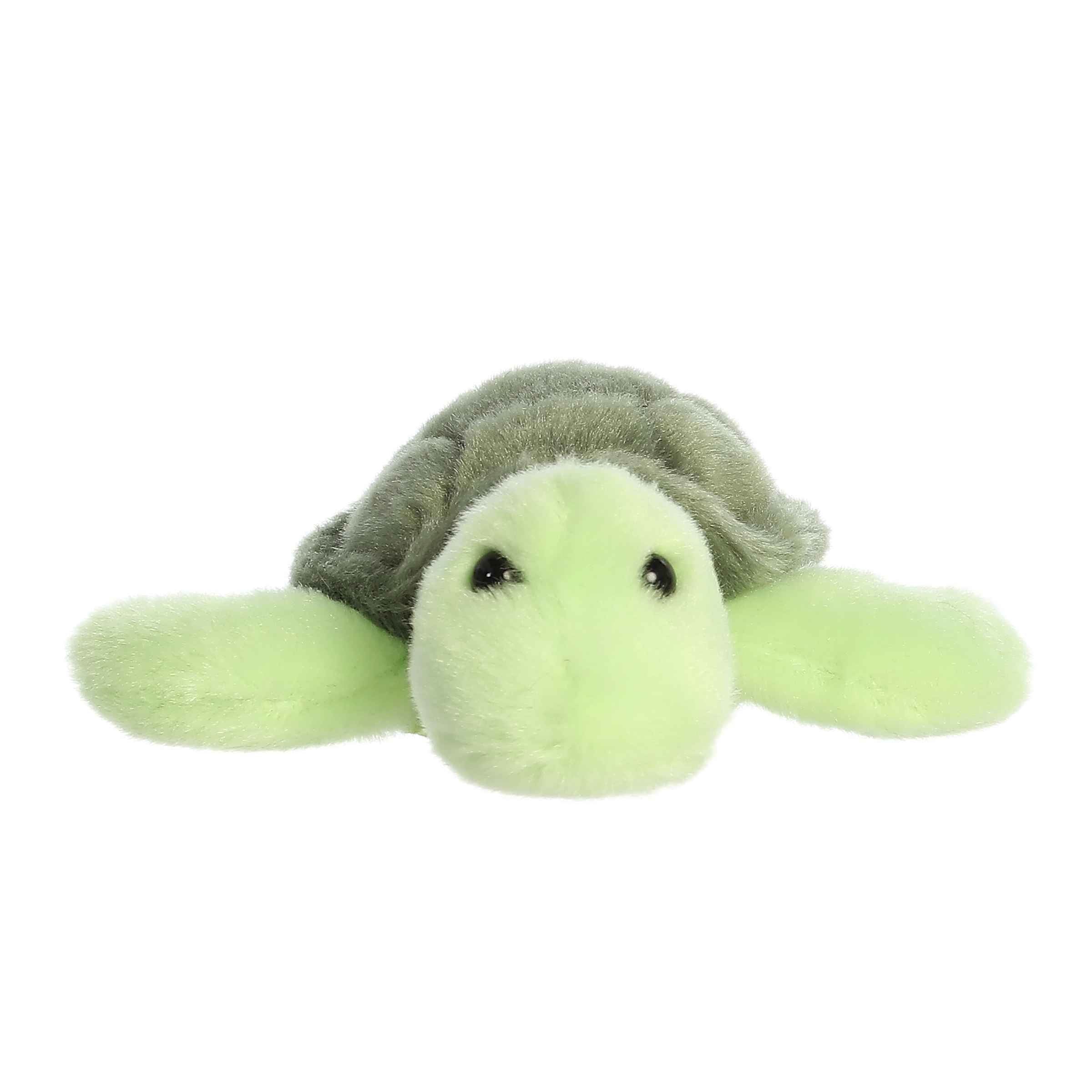 Aurora® - Shoulderkins™ - 5.5 Saavy Sea Turtle™、mySite、g9winljtr
