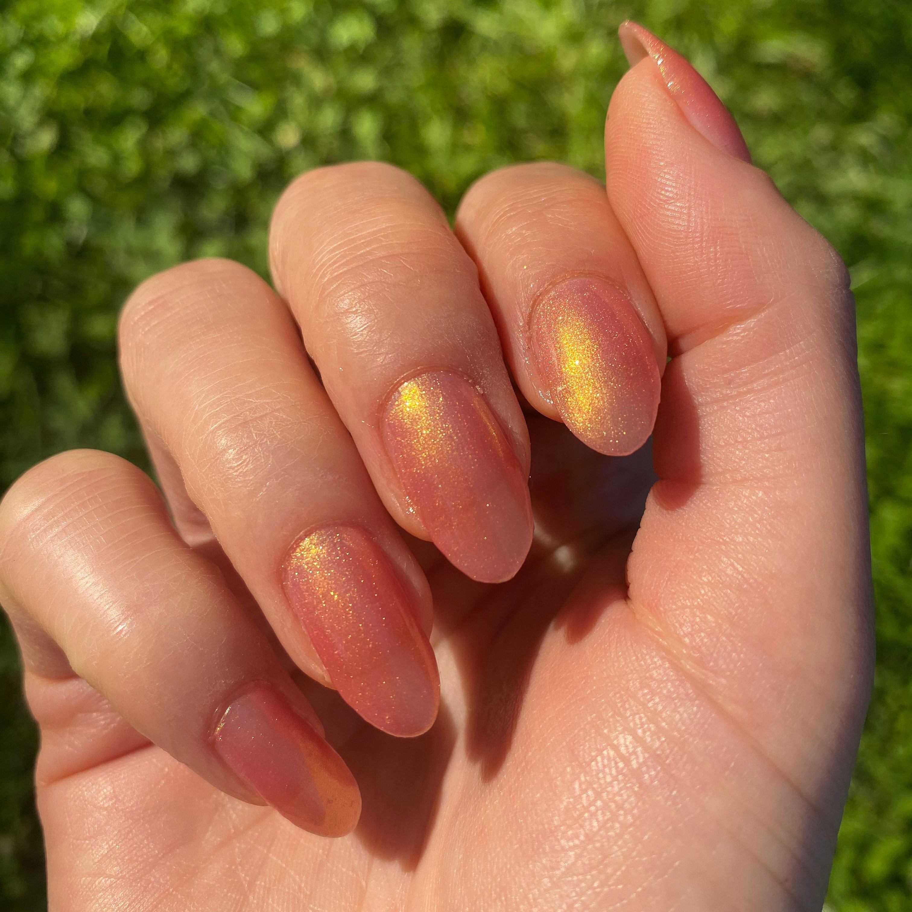 Internal - Baby Starfish、mySite、solidvoid