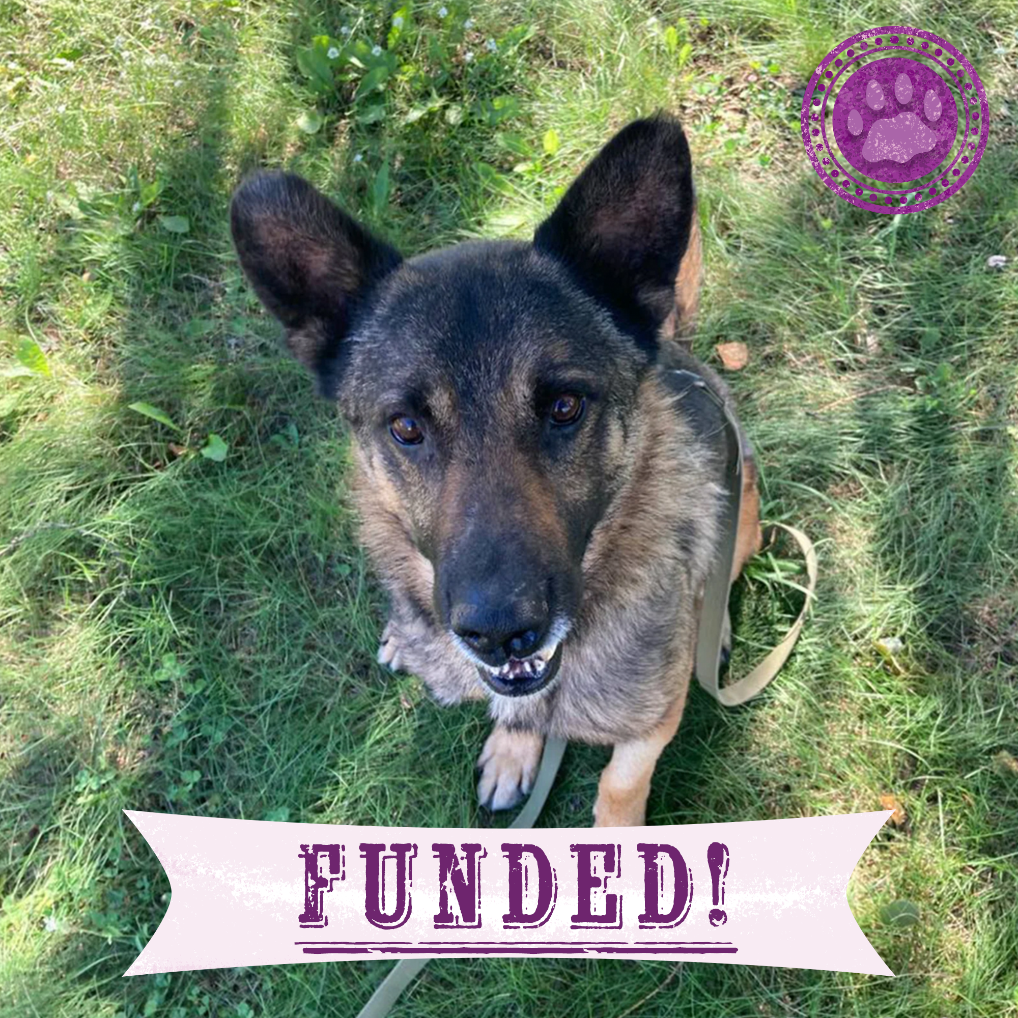 Funded: Lord Survived Explosion But Needs Your Help To Heal His Wounds、mySite、camillekostekn