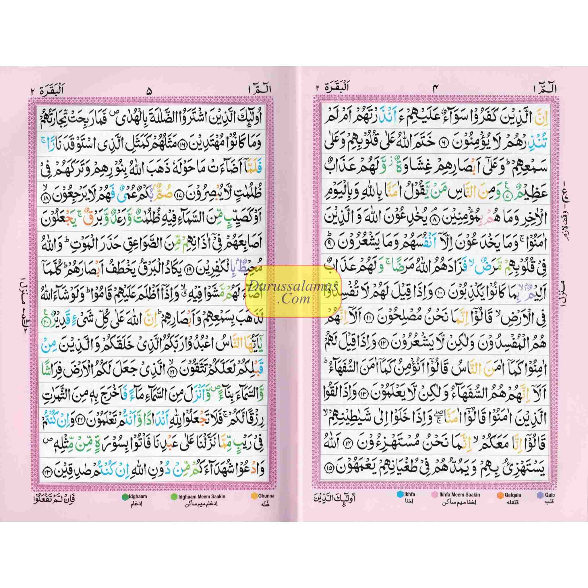 Holy Quran Color Coded 15 Line - Medium Size、mySite、topwebapps