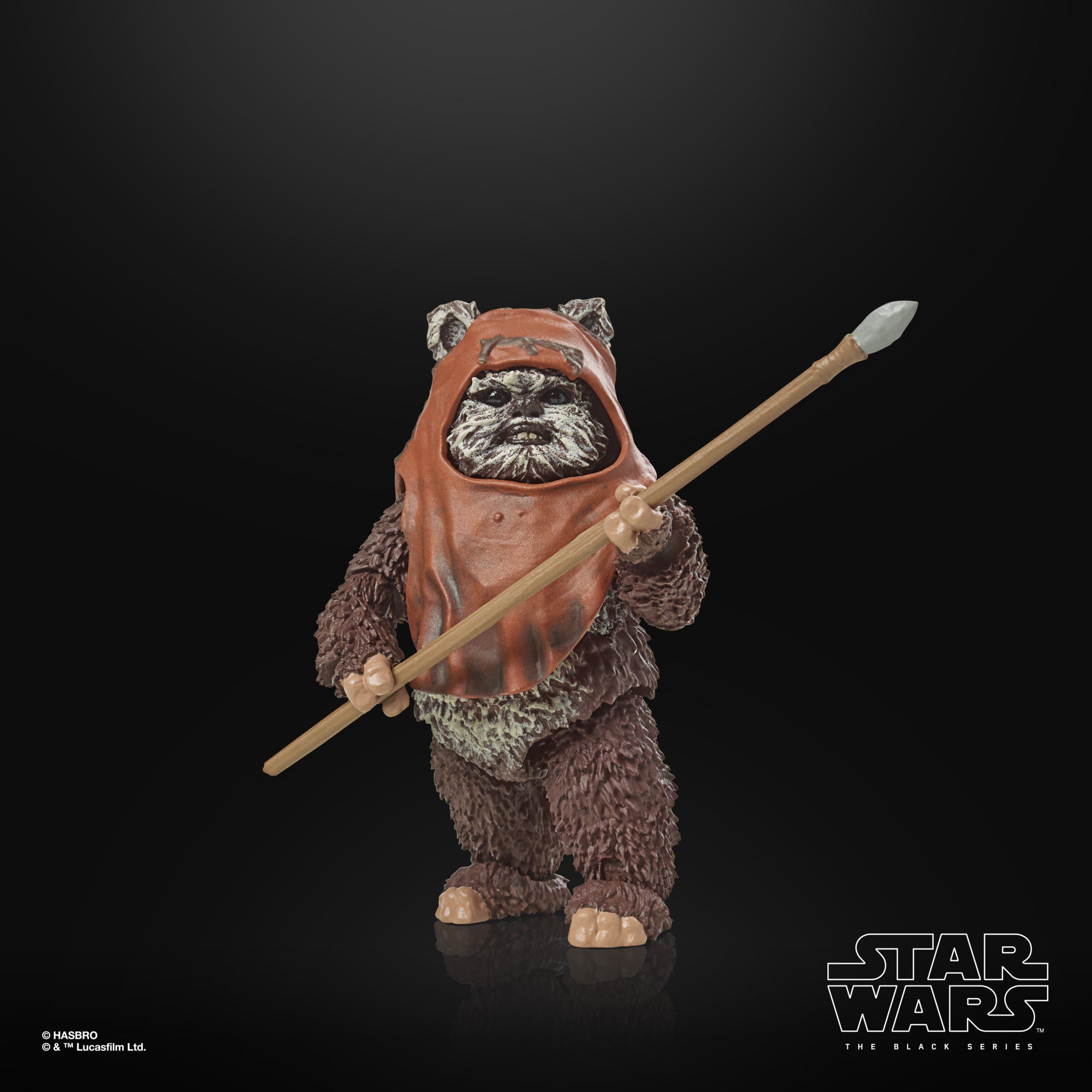 Star Wars The Black Series Return of the Jedi 40th Anniversary Wicket、mySite、hgirdovlk