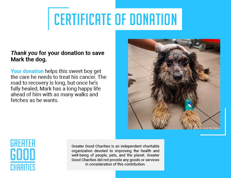 Funded: Help Mark Beat Disease、mySite、camillekostekn